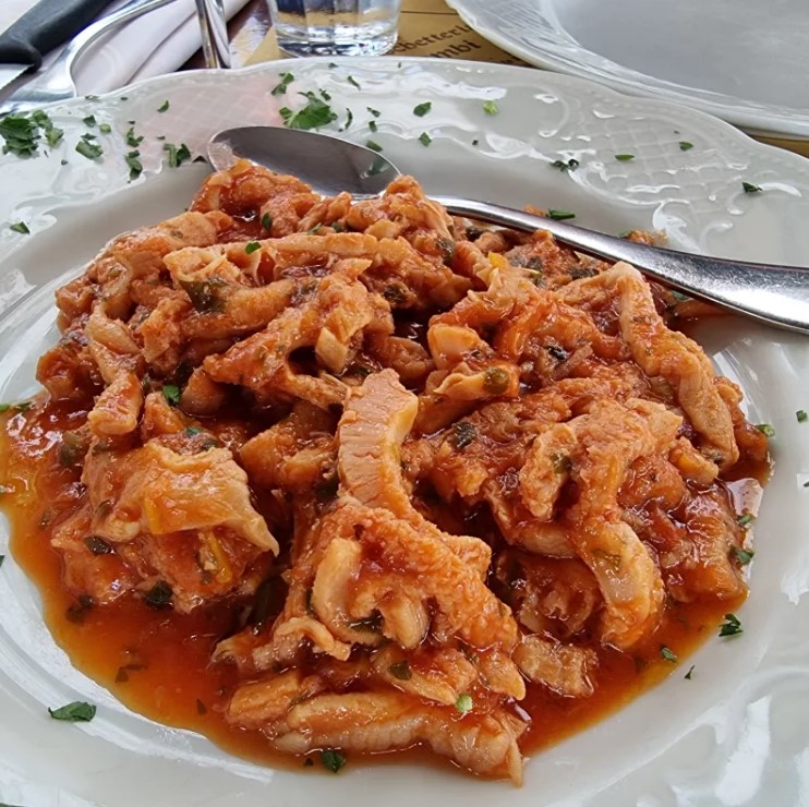 trippa cambi