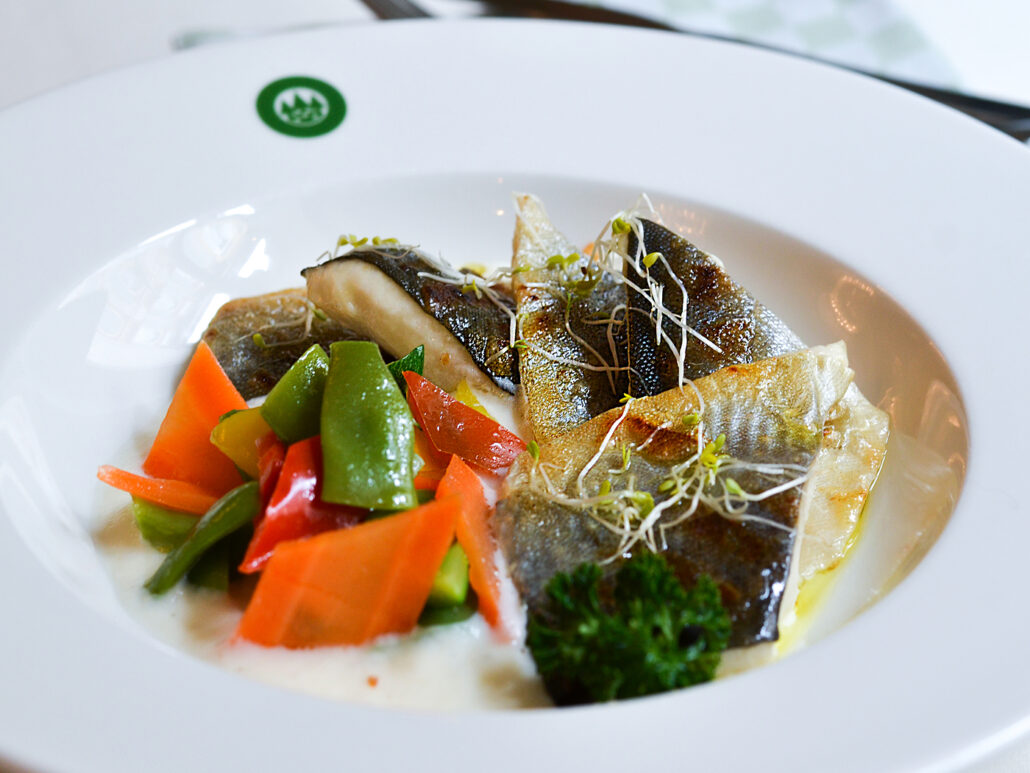 forsterbrau salmerino trento