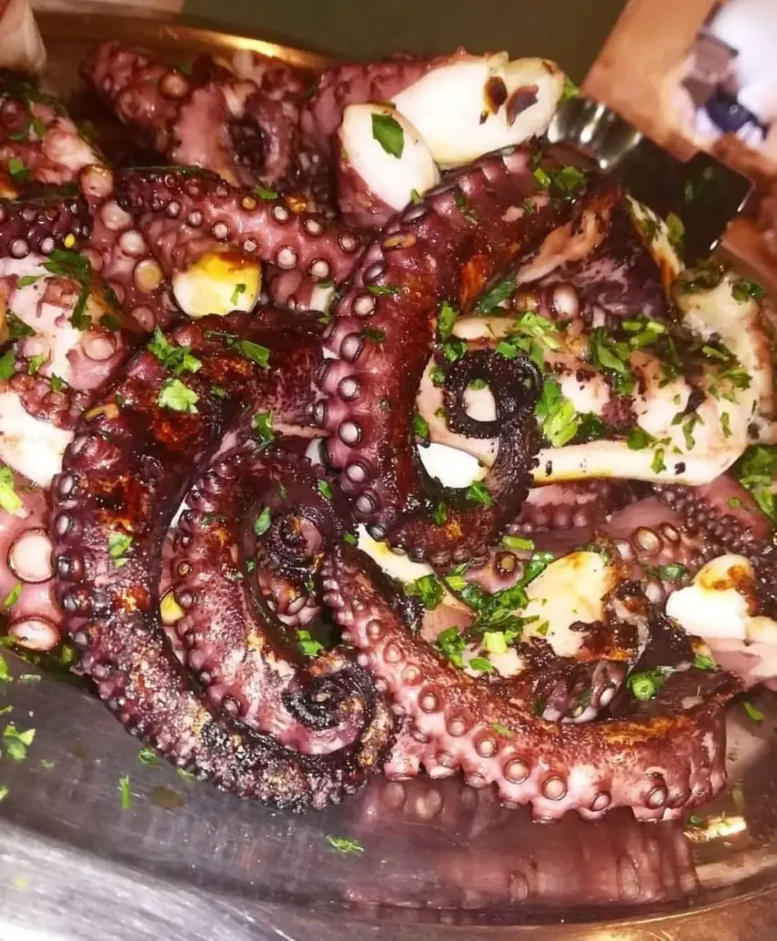 insalata di polpo oasi da nitto catania