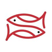 scirocco sicilian fish lab catania