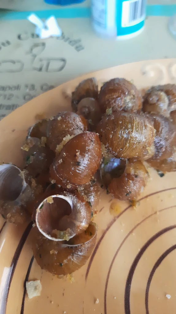 sizzigorus su piscosus cagliari