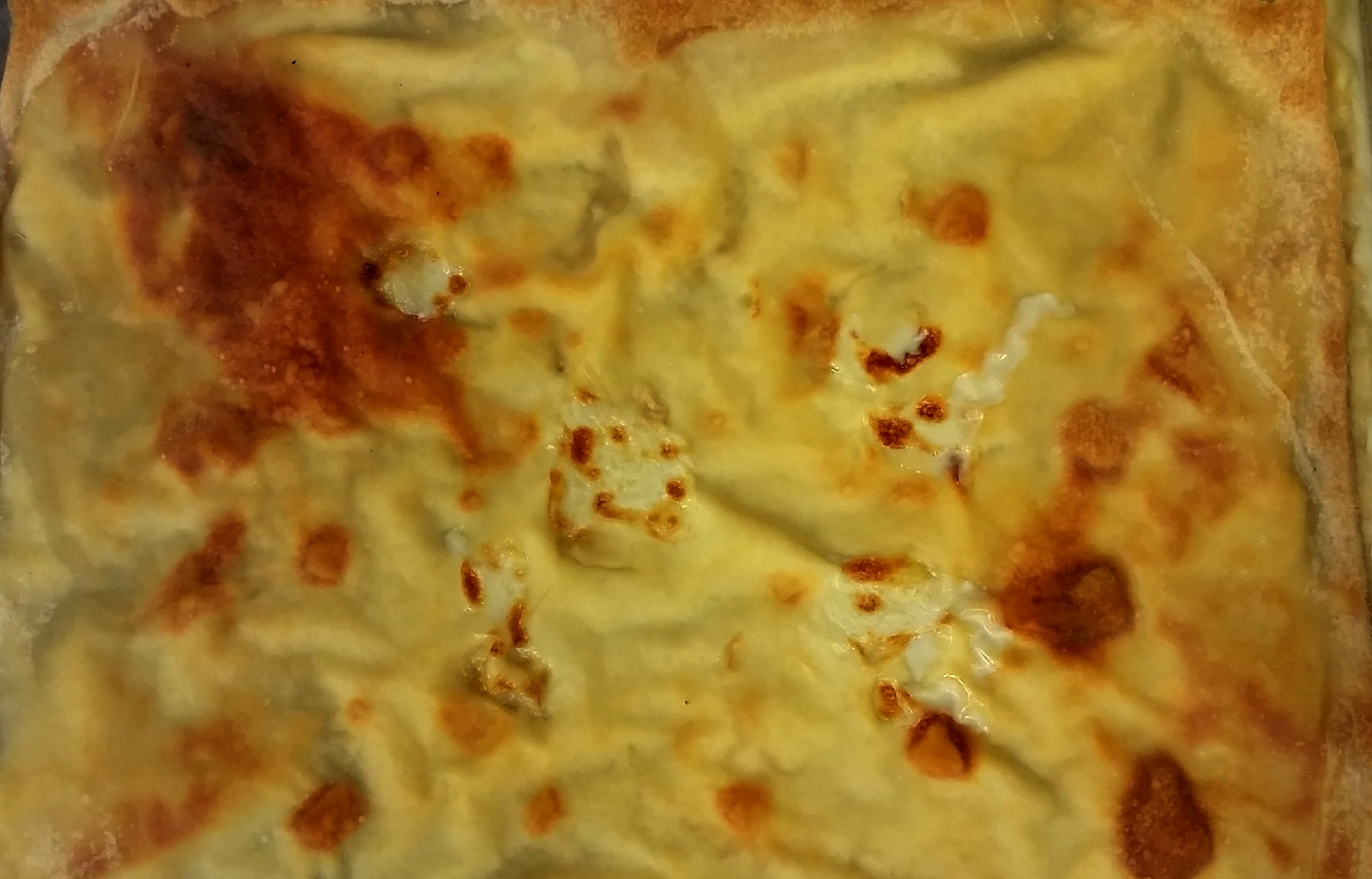 focaccia di recco panificio centrale genova